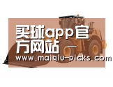 买球app官方网站下载第三系列