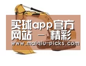 买球app官方网站下载第一系列