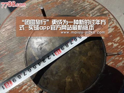 “团圆旅行”更成为一种新的过年方式-买球app官方网站最新版本(图3) 买球app官方网站最新版本