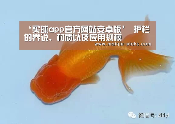 买球app官方网站最新版本